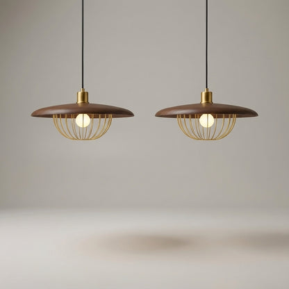 Adjustable Height Ceiling Light -  Skylure