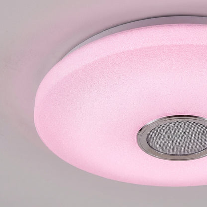 App Controlled Ceiling Light -  Radiomuse