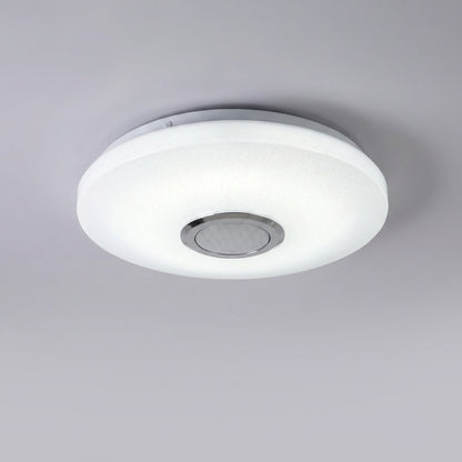 App Controlled Ceiling Light -  Radiomuse
