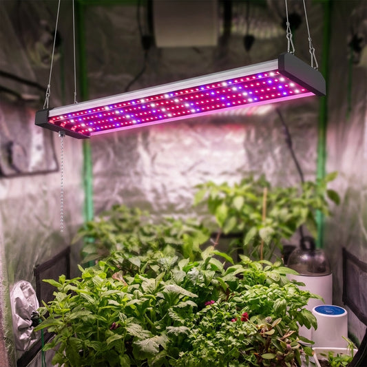 Full Spectrum LED Grow Light -  GrowLuma