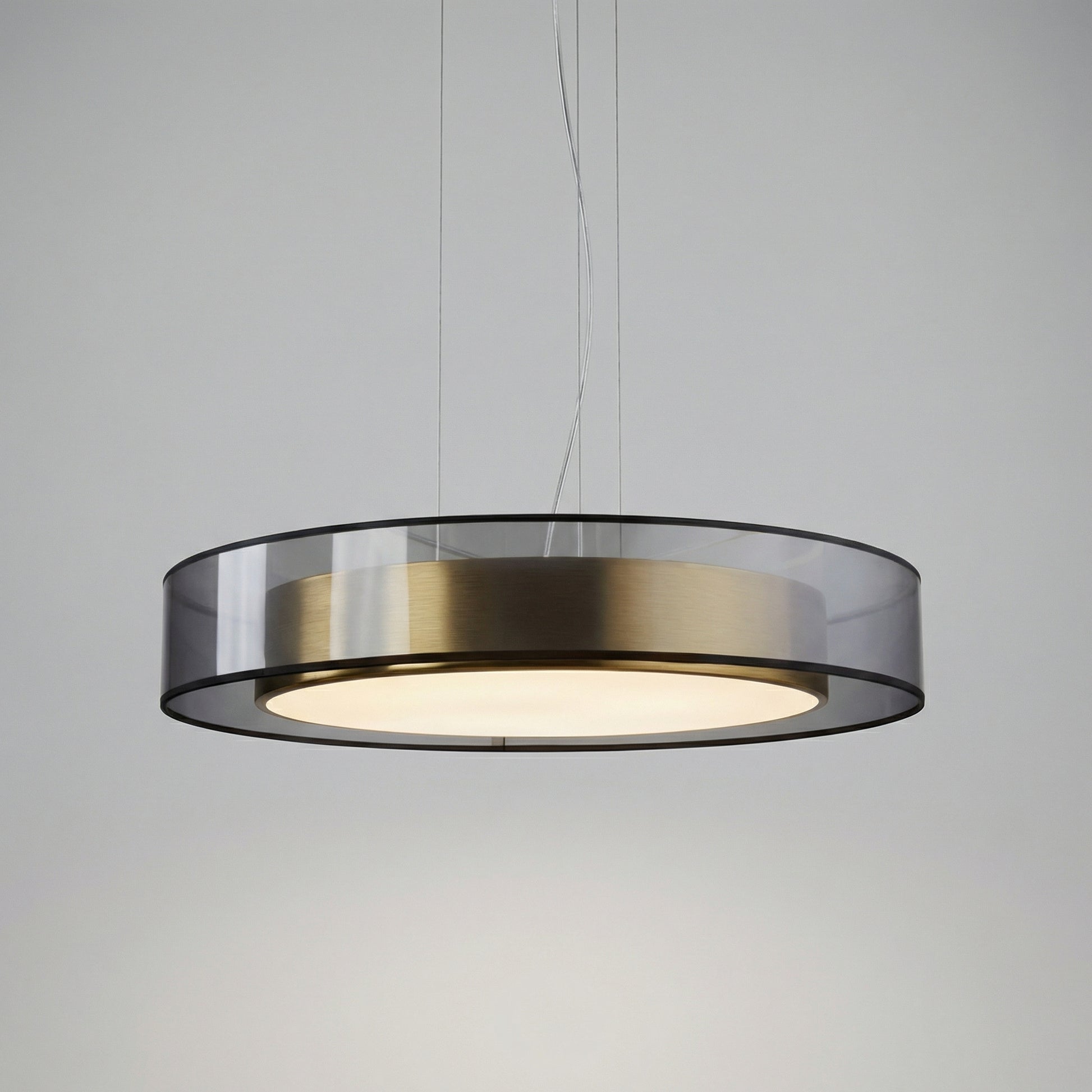 Modern Suspended Light Fixture -  Roselume