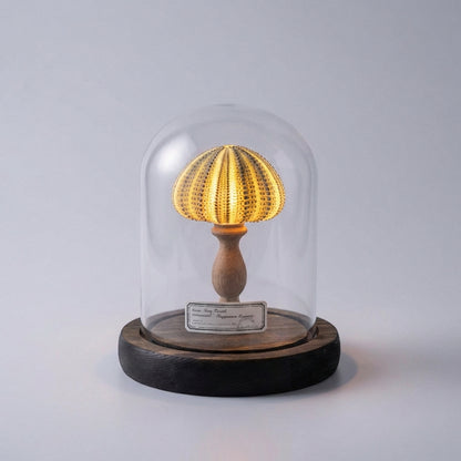 Seashell Inspired Nightlight -  Ocealyn