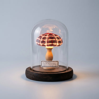 Seashell Inspired Nightlight -  Ocealyn